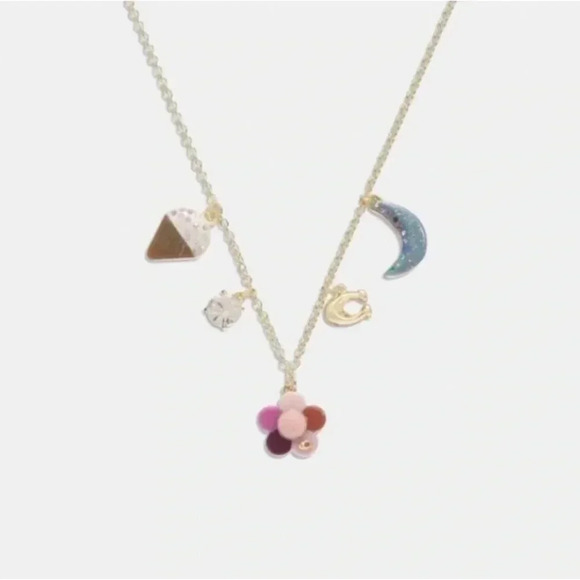 NEW COACH FLOWER MOON CHARM  NECKLACE - Picture 1 of 6